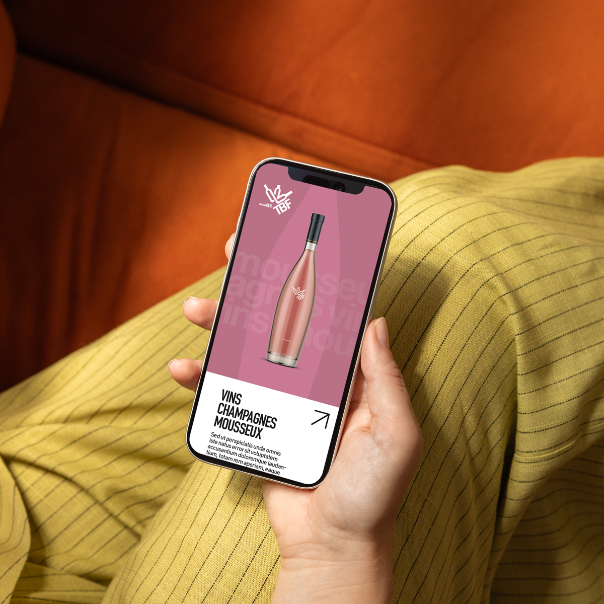 The beverages Family site internet web design home page canapé smartphone softs drinks rosé spiritueux bières sur fond beige Force de vente mutualisée pour les distributeurs de boissons Little Big Idea